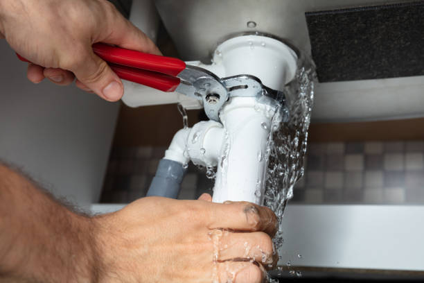 Best Water damage cleanup near me  in Lake Station, IN