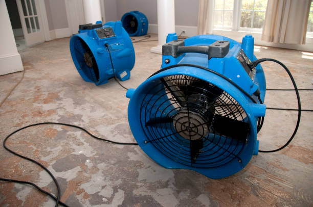 Reliable Lake Station, IN Water damage restoration Solutions