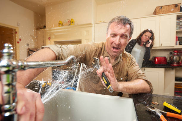 Best Local water damage restoration  in Lake Station, IN